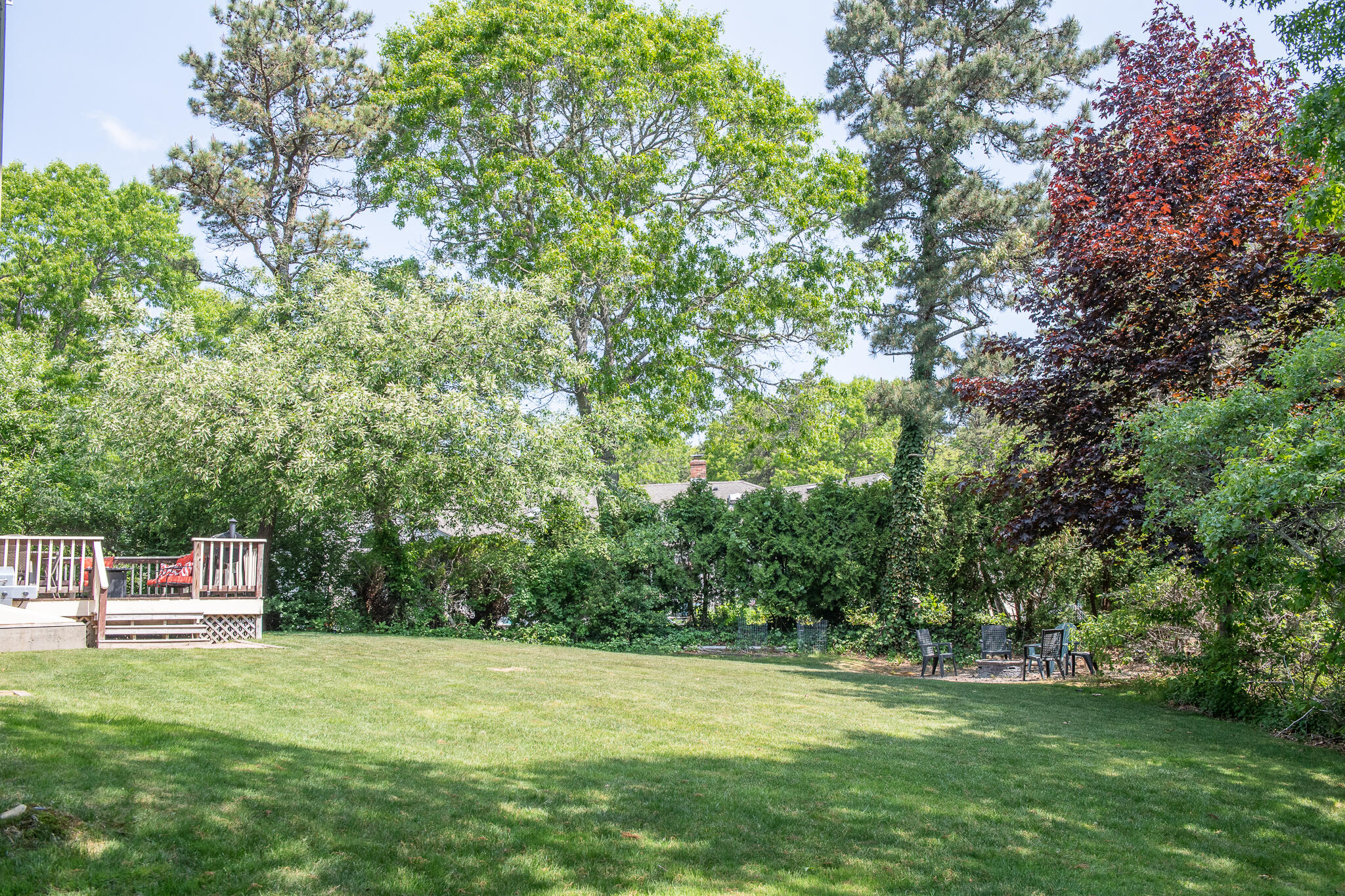 8 Yachtsman Circle Mashpee, MA 02649 - Photo 39 of 56 a view of a trees in a yard