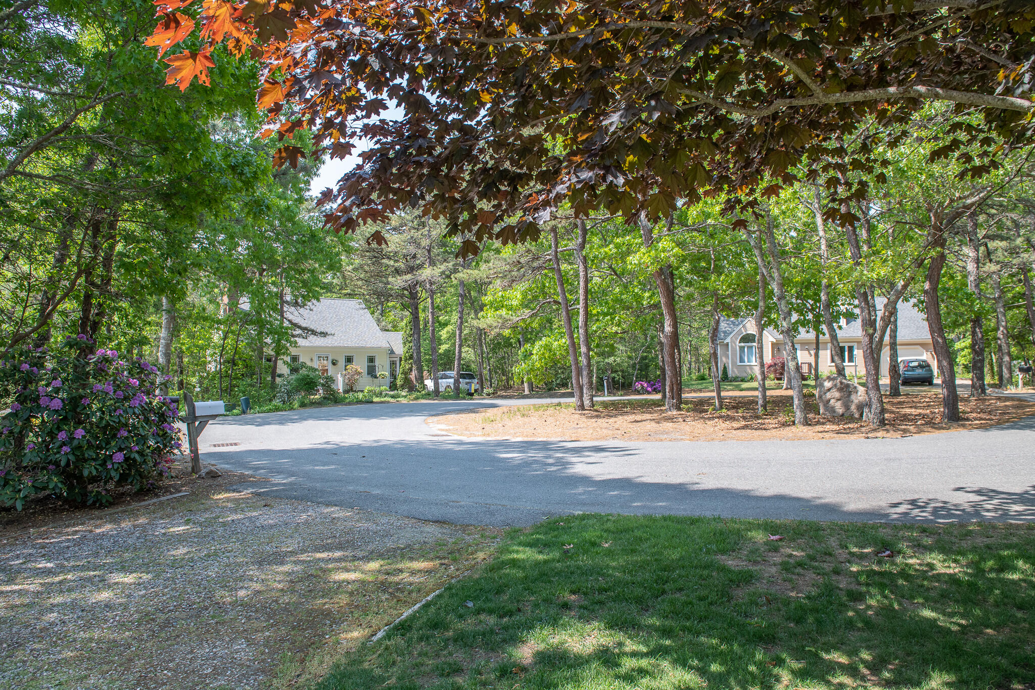 8 Yachtsman Circle Mashpee, MA 02649 - Photo 46 of 56 a wooden bench with view of trees