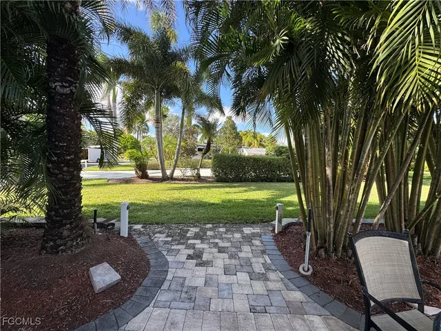 a view of a yard with plants
