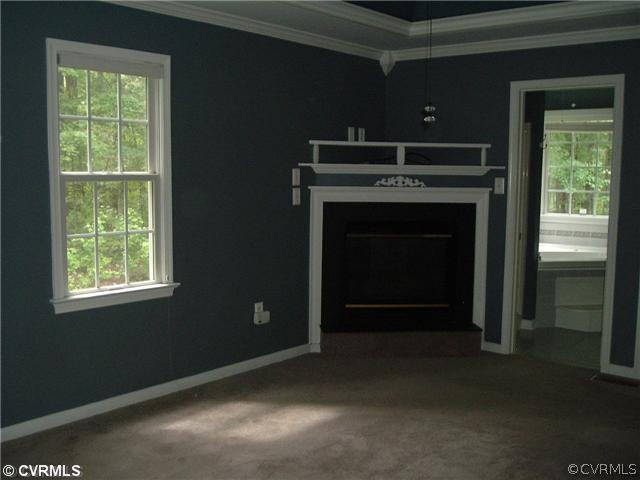21810 Sappony Road Moseley, VA 23120 - Photo 7 of 24 a living room with a fireplace