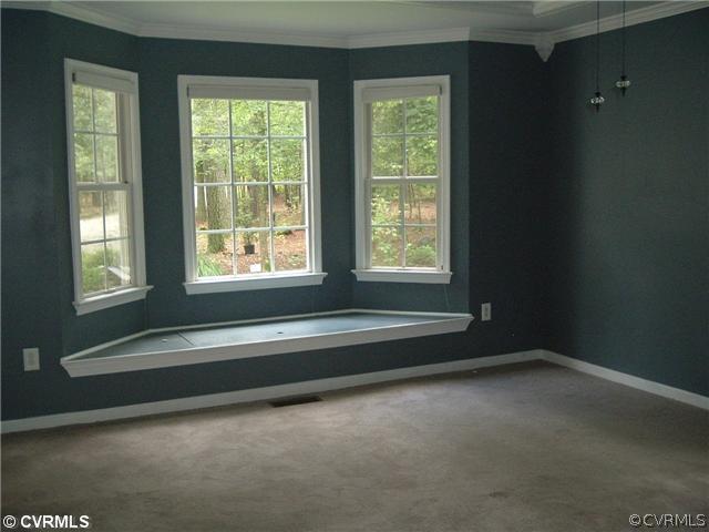 21810 Sappony Road Moseley, VA 23120 - Photo 8 of 24 a view of an empty room with a window