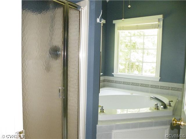 21810 Sappony Road Moseley, VA 23120 - Photo 9 of 24 a bathroom with a bathtub