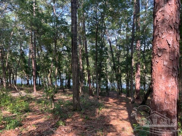 0 Pine Lake Circle Milton, FL 32570 - Photo 4 of 10