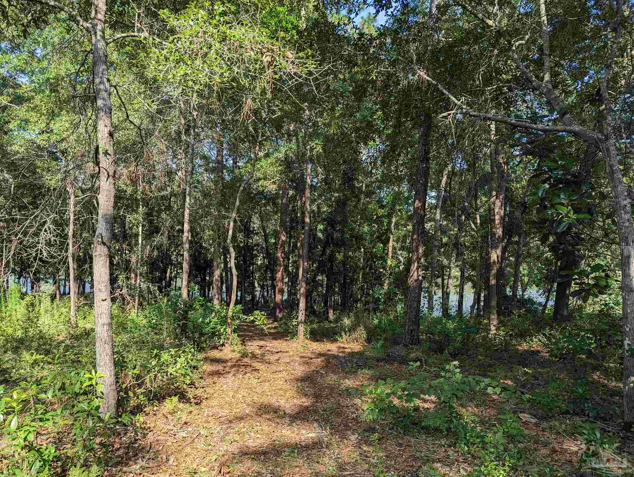 0 Pine Lake Circle Milton, FL 32570 - Photo 7 of 10