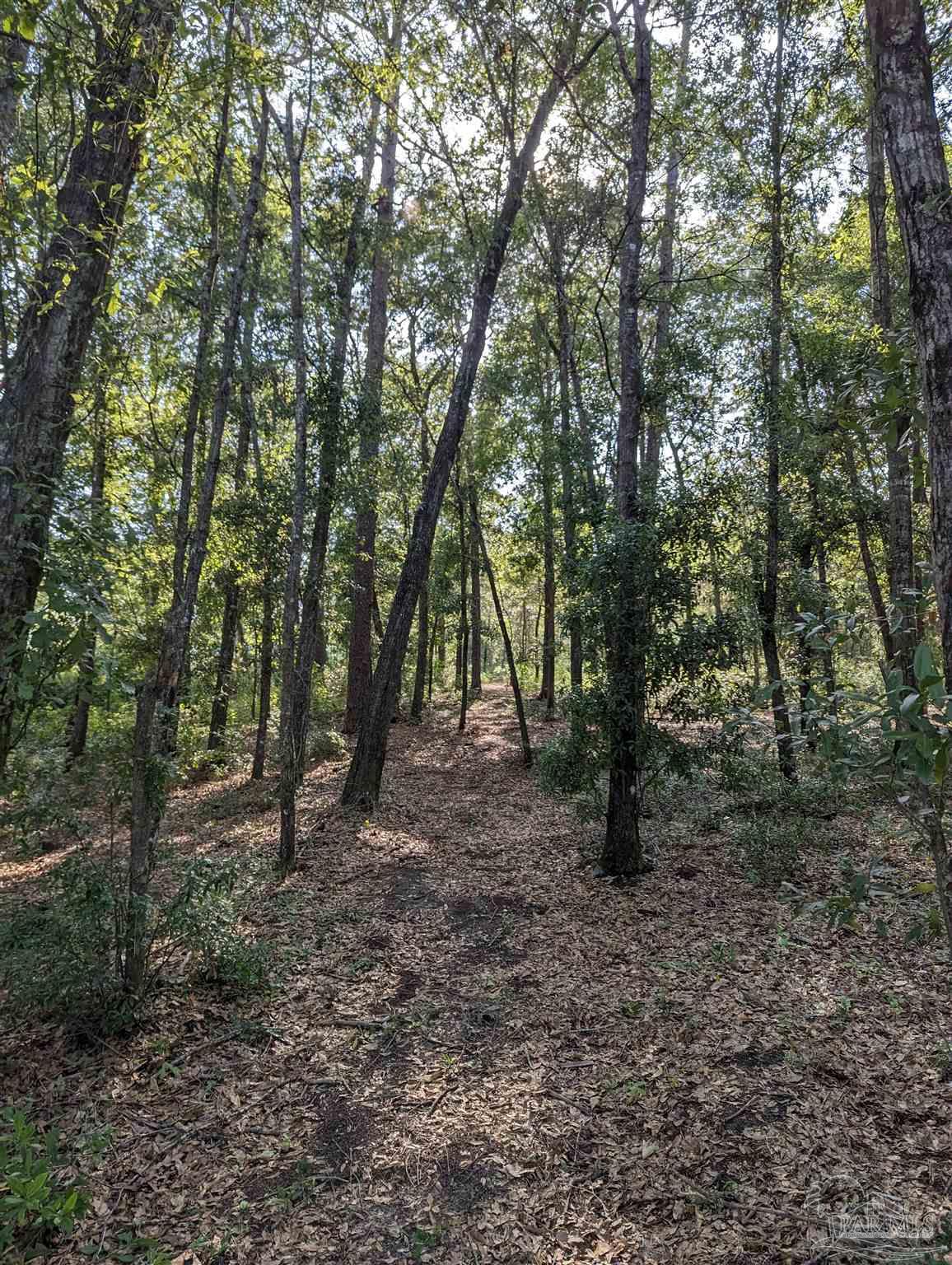 0 Pine Lake Circle Milton, FL 32570 - Photo 9 of 10