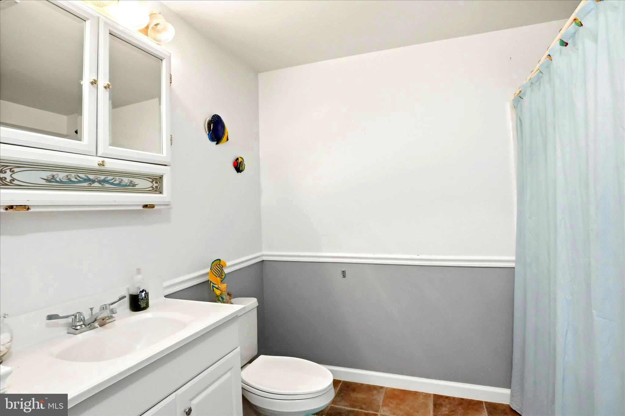 25 Mish Road Bunker Hill, WV 25413 - Photo 111 of 124 a bathroom with a sink a toilet and shower curtain