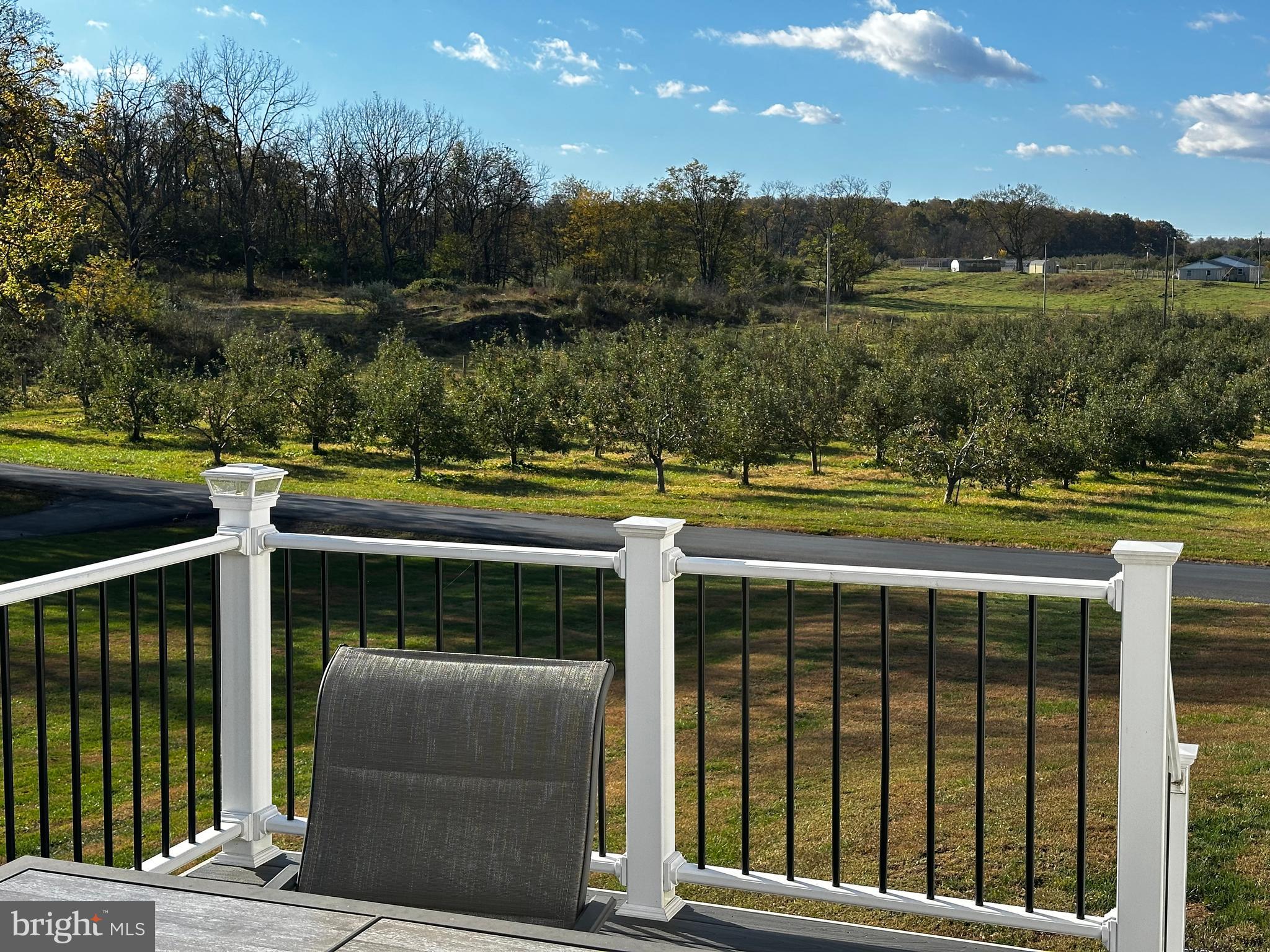 25 Mish Road Bunker Hill, WV 25413 - Photo 16 of 87 MAINTENANCE FREE REAR DECK OVERLOOKS THE ORCHARD