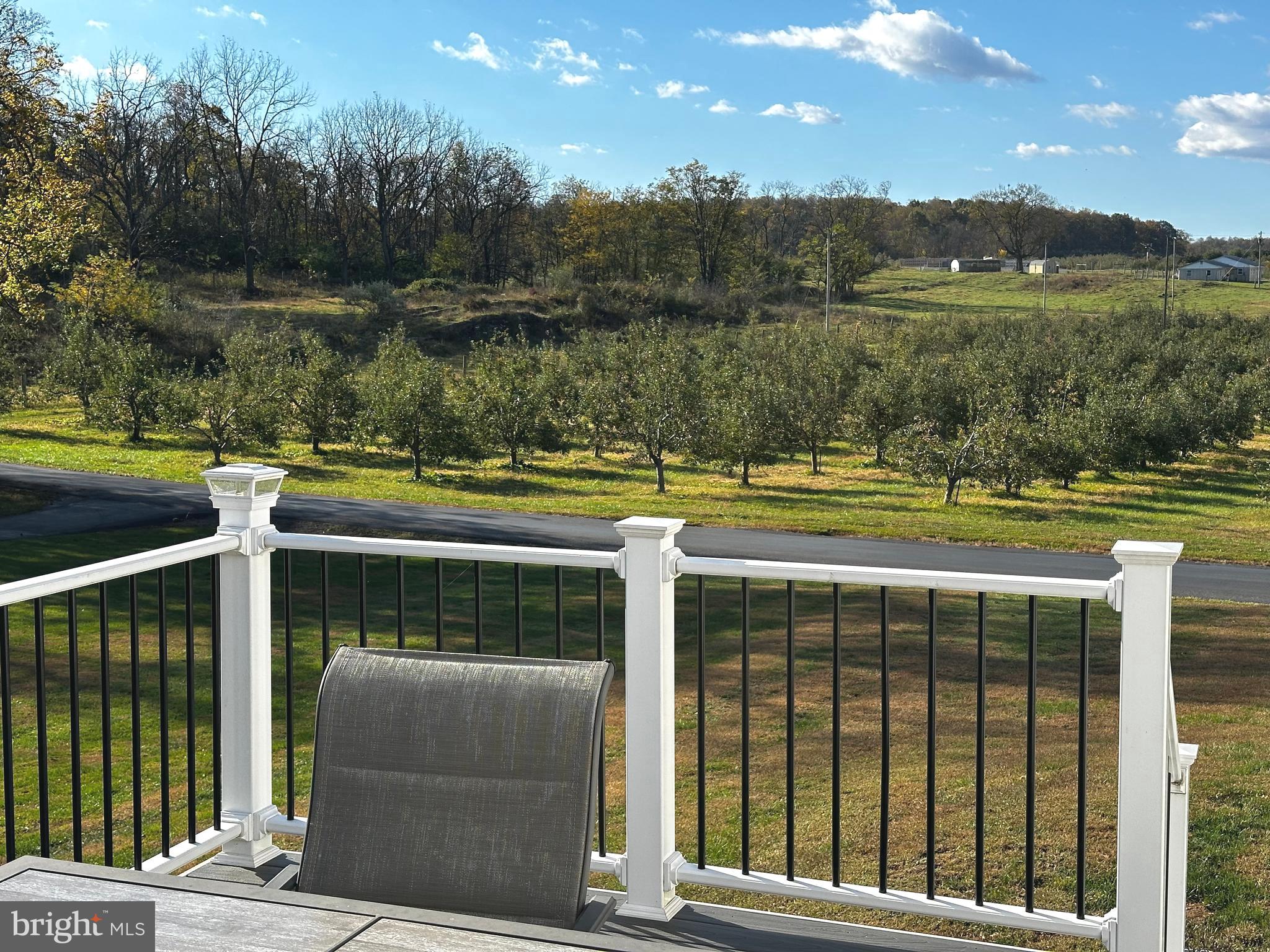 25 Mish Road Bunker Hill, WV 25413 - Photo 24 of 124 MAINTENANCE FREE REAR DECK OVERLOOKS ORCHARD