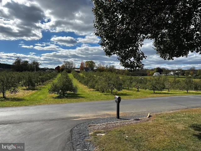a bedroom with a bed a mirror on dresser and a chandelier