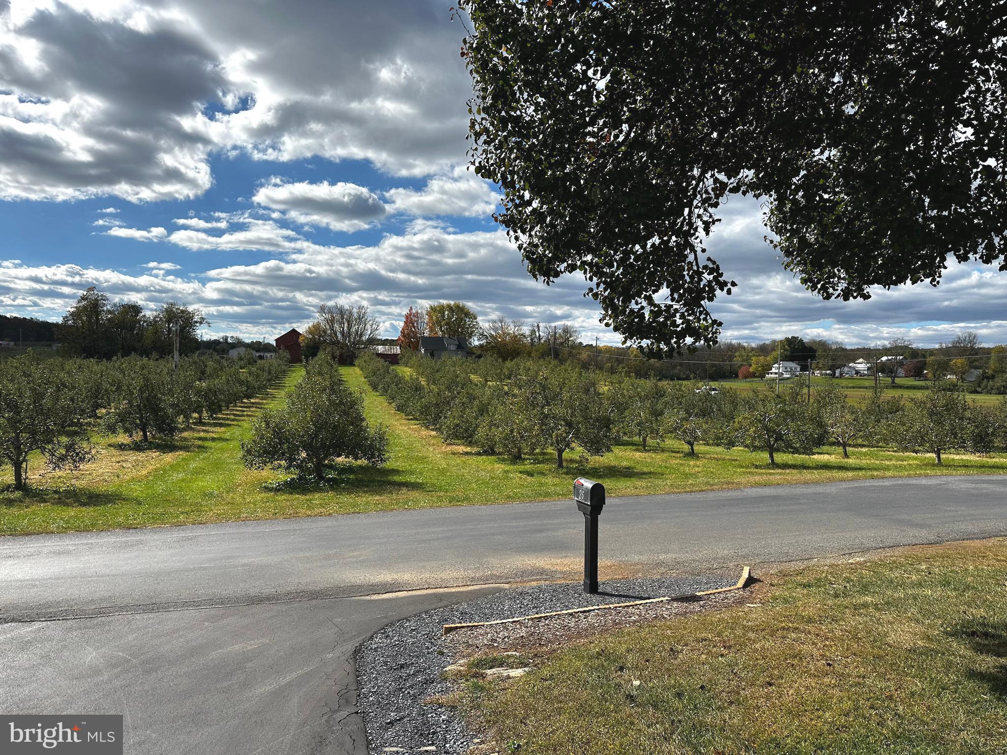 25 Mish Road Bunker Hill, WV 25413 - Photo 45 of 124 VIEW TO THE SMALL PRIVATE APPLE ORCHARD NEXT DOOR