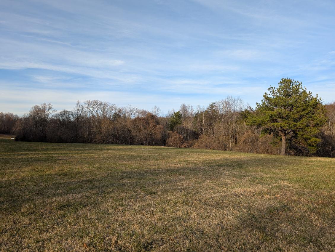 5704 Altice Road Moneta, VA 24121 - Photo 4 of 5 image000003