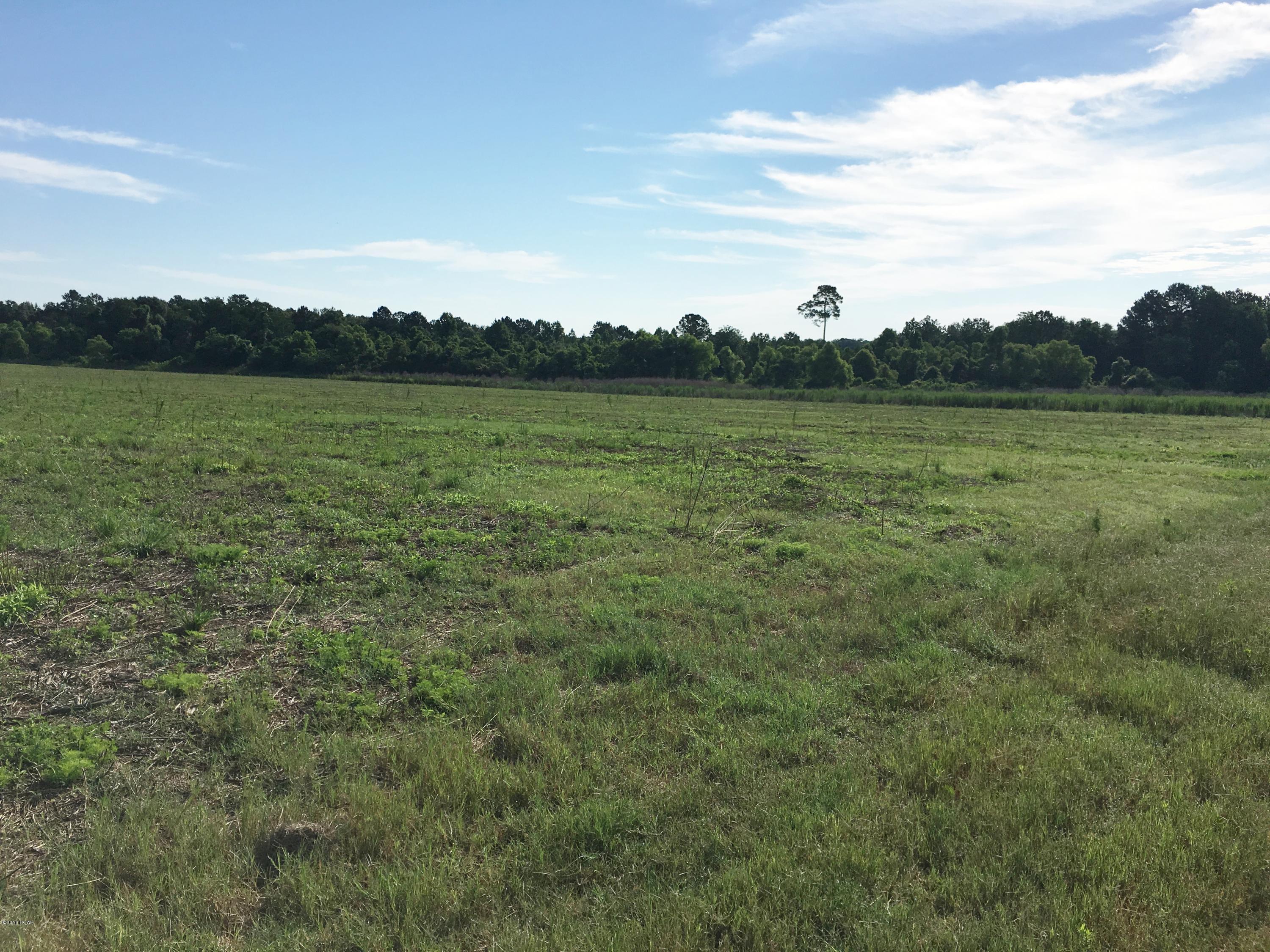 0 Friendship Church Road Malone, FL 32445 - Photo 6 of 22