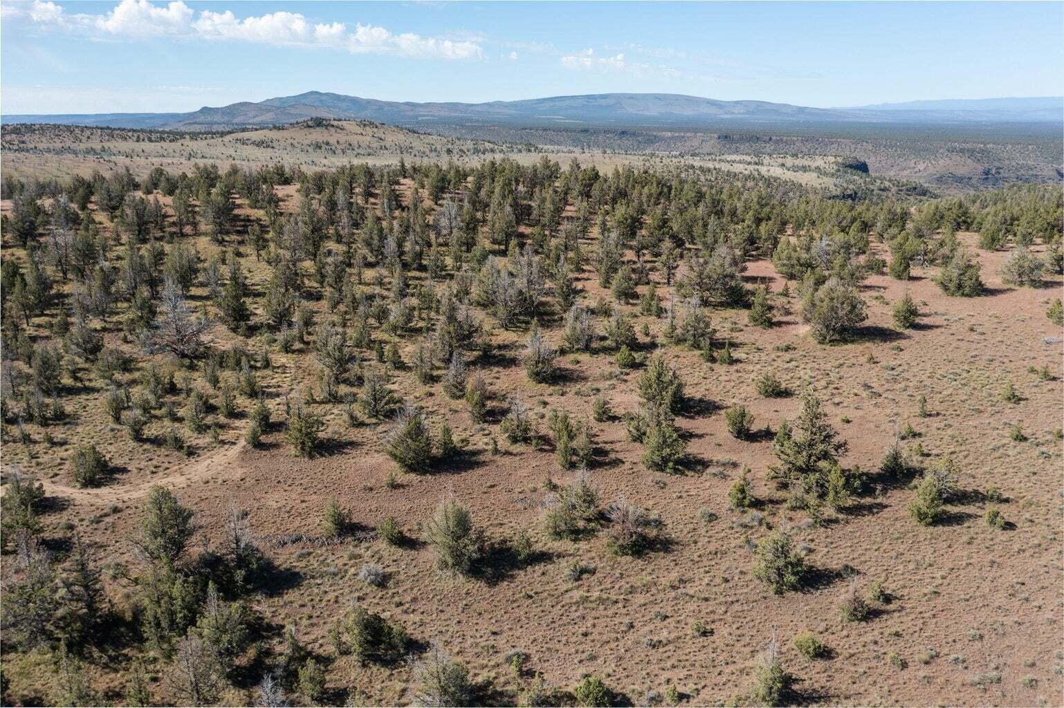 5600 Southeast Seneca Road Prineville, OR 97754 - Photo 4 of 9 2.25 acre lot
