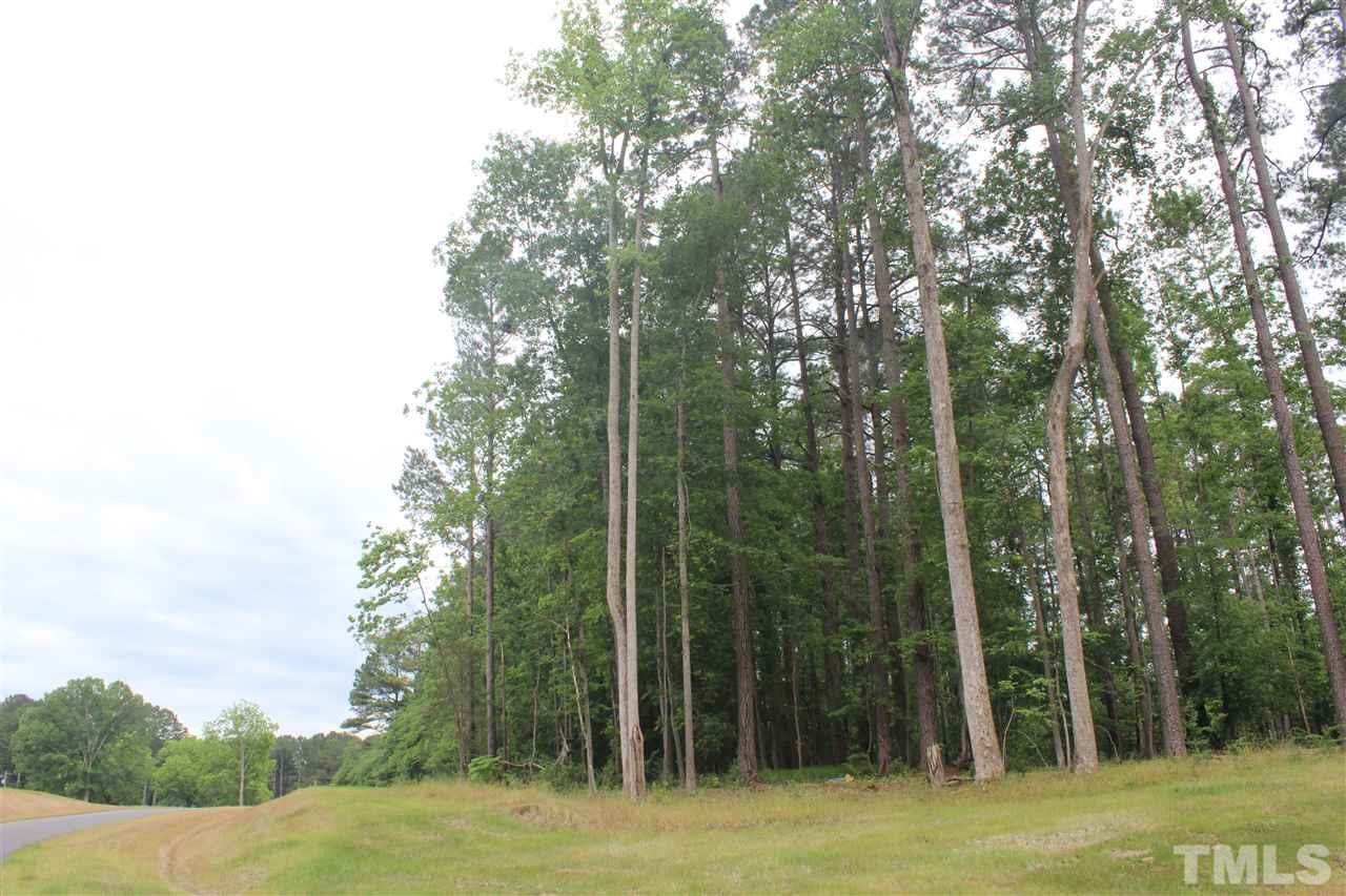 1513 Meadows Bank Way Raleigh, NC 27603 - Photo 5 of 7