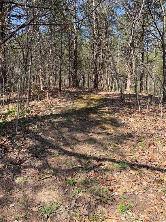 7711 Dittmer Road Dittmer, MO 63023 - Photo 34 of 35