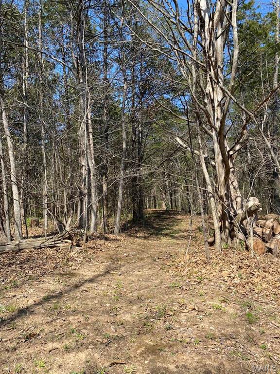 7711 Dittmer Road Dittmer, MO 63023 - Photo 10 of 35