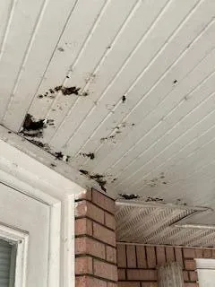 a backyard of a house