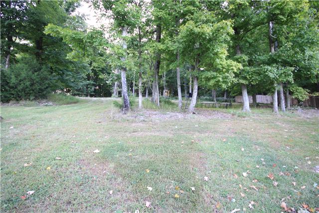1137 Rip Steele Road Columbia, TN 38401 - Photo 20 of 20 Back yard view sampling, must come see it in person!