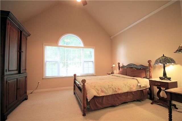 1137 Rip Steele Road Columbia, TN 38401 - Photo 10 of 20 Walk out to your back patio to enjoy the open morning air! Relaxing Master Bedroom with beautiful views and vaulted ceiling!