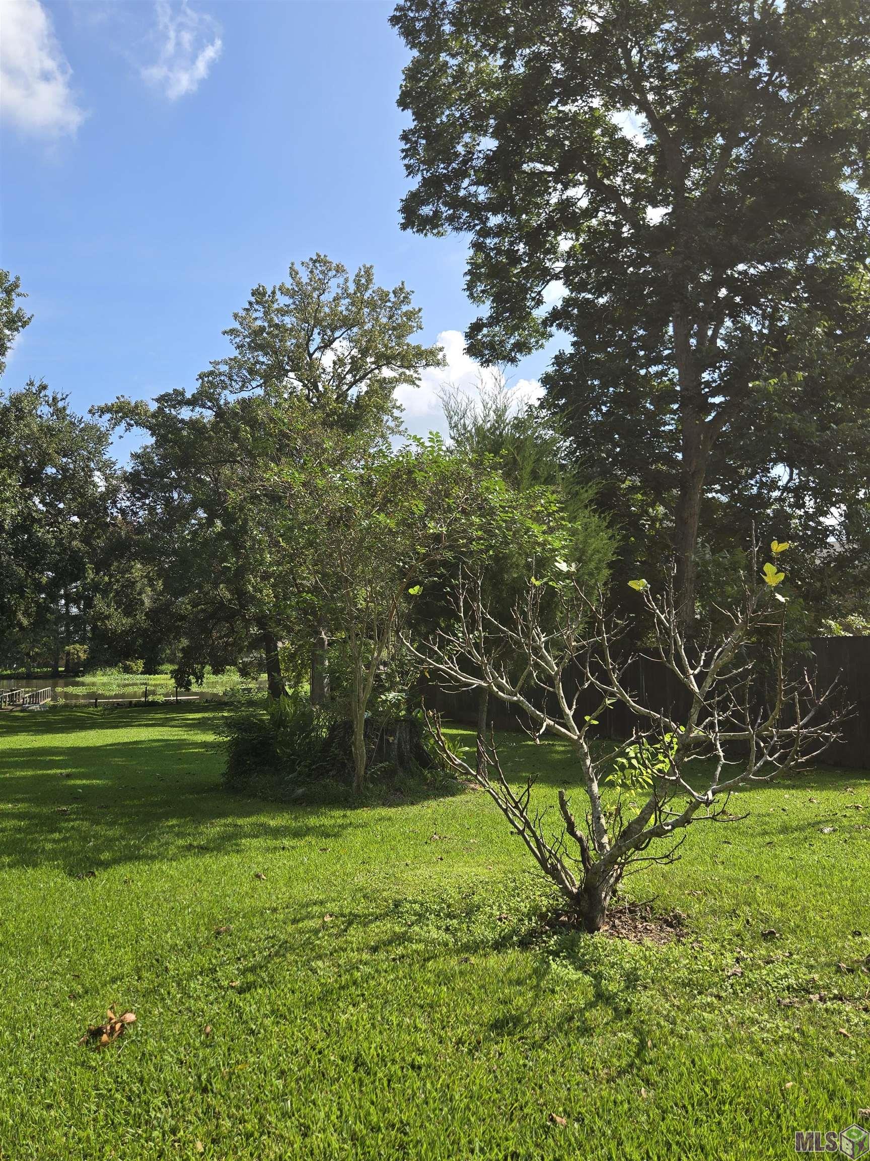 402 Main Street Franklin, LA 70538 - Photo 41 of 47