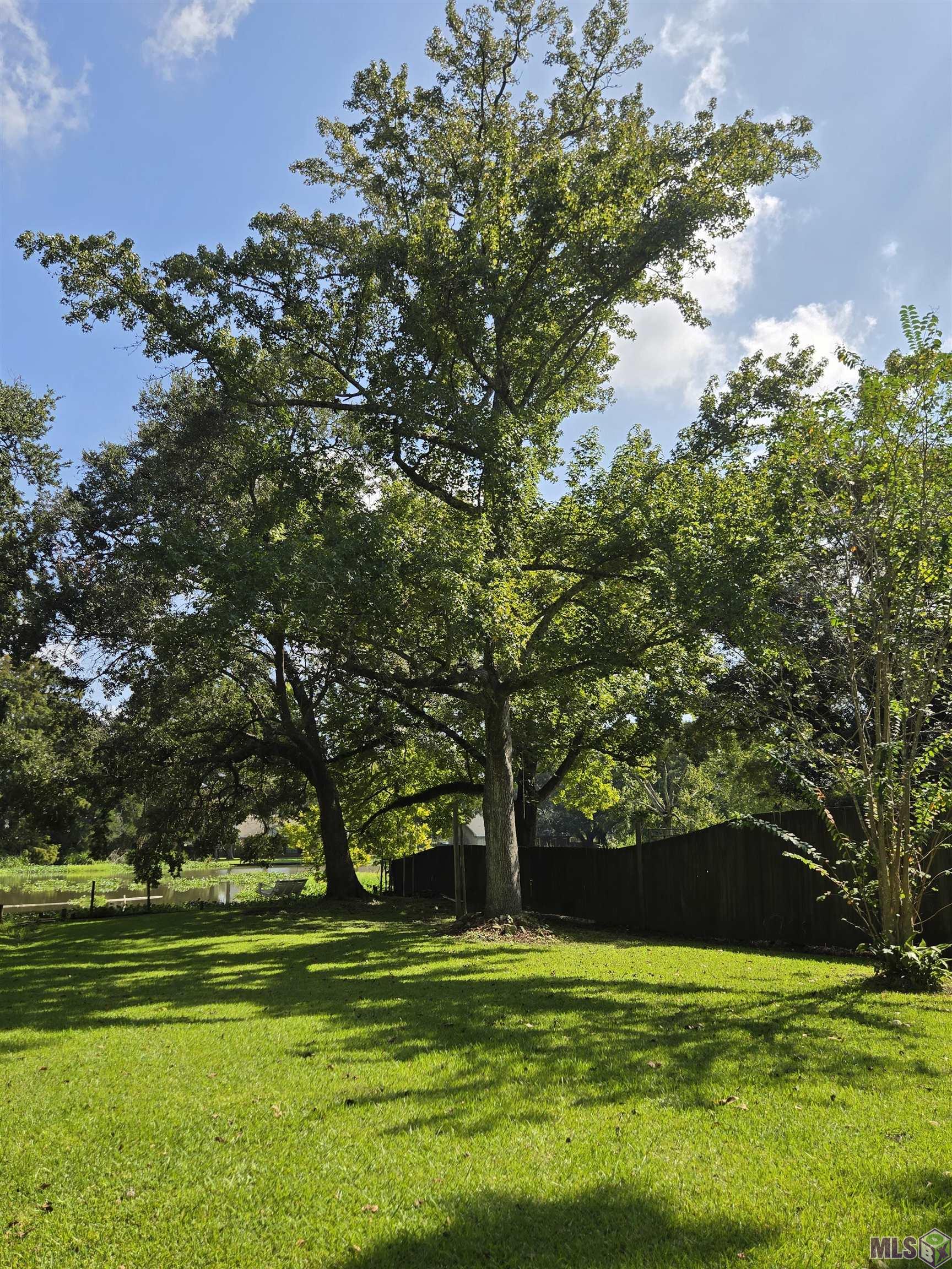 402 Main Street Franklin, LA 70538 - Photo 42 of 47