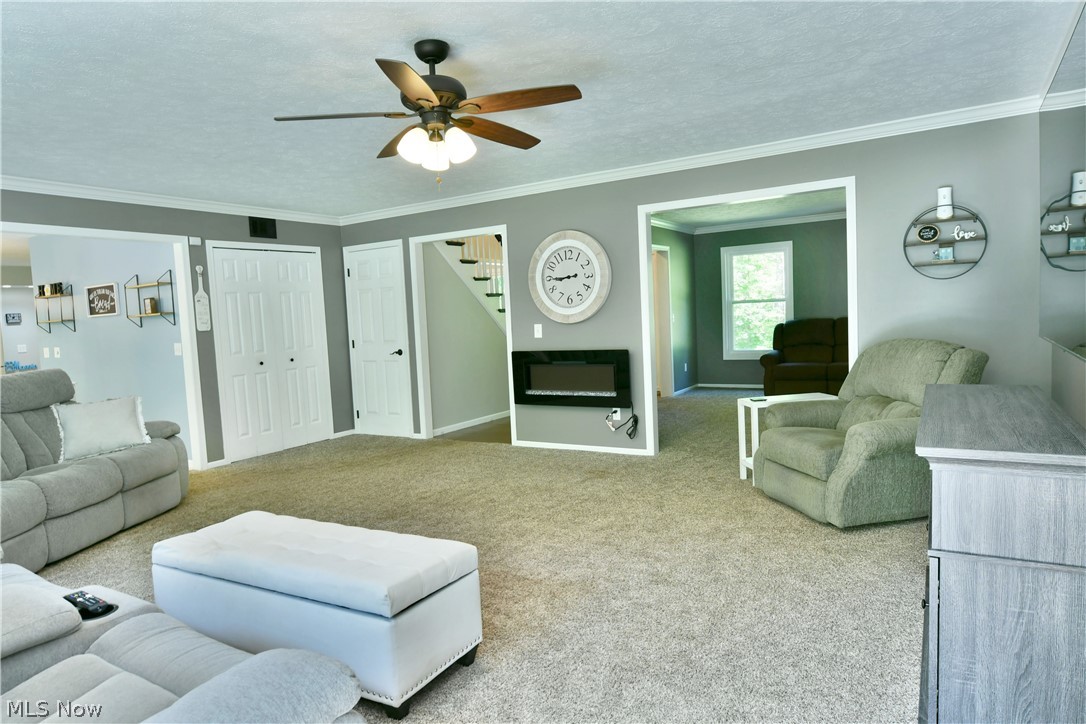 13491 Woodin Road Chardon, OH 44024 - Photo 16 of 35 Living room featuring carpet, ornamental molding, ceiling fan, and a textured ceiling