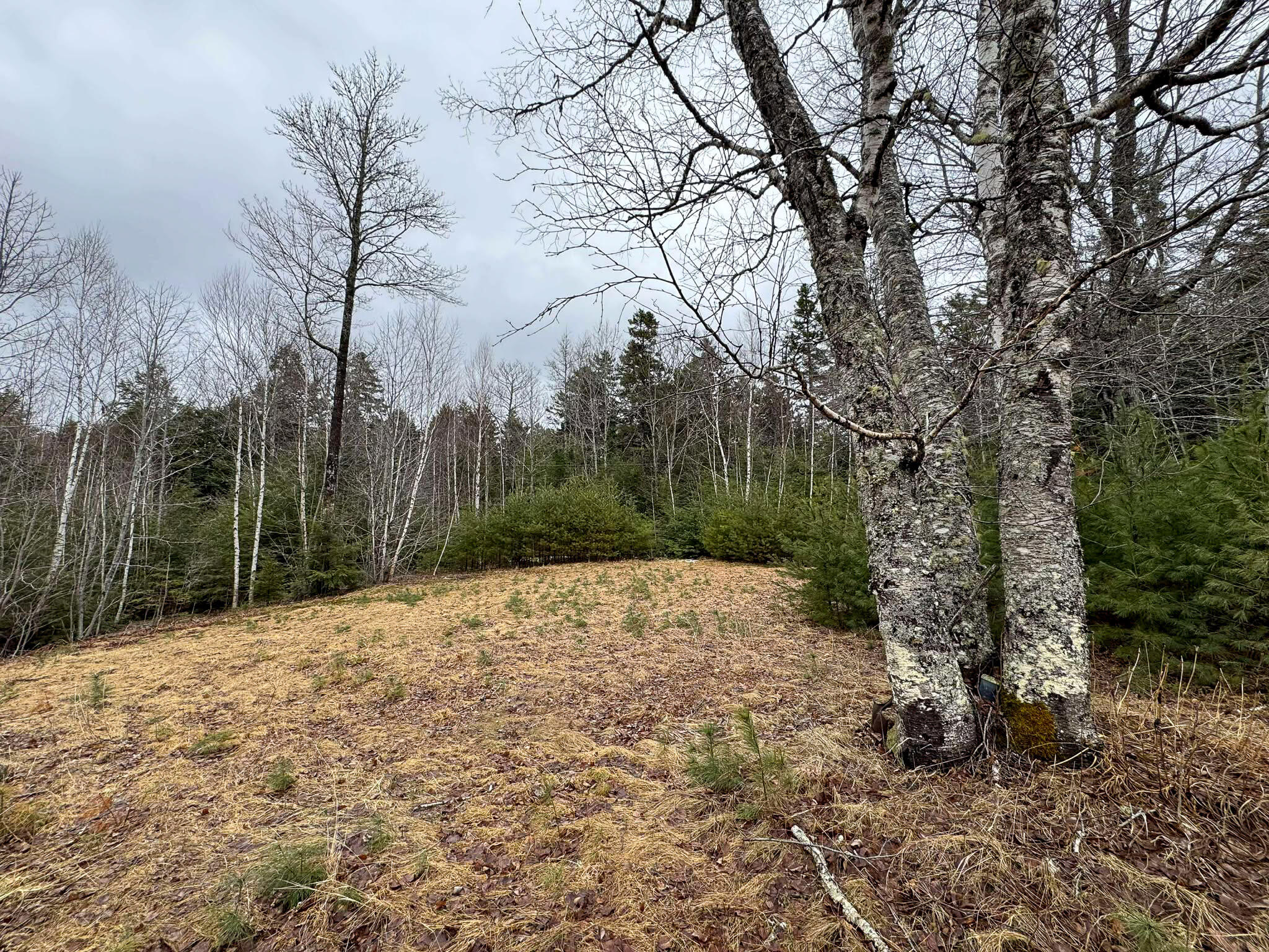 116 Sandy Beach Lane Otis, ME 04605 - Photo 21 of 24 21