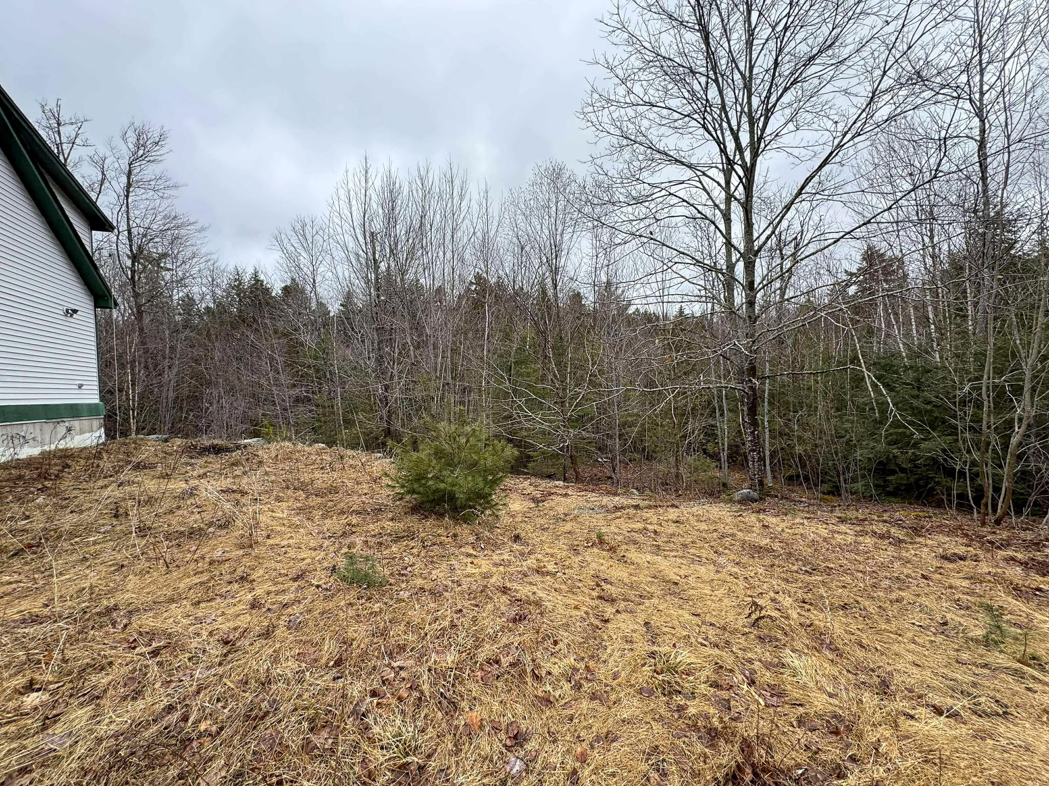 116 Sandy Beach Lane Otis, ME 04605 - Photo 22 of 24 22