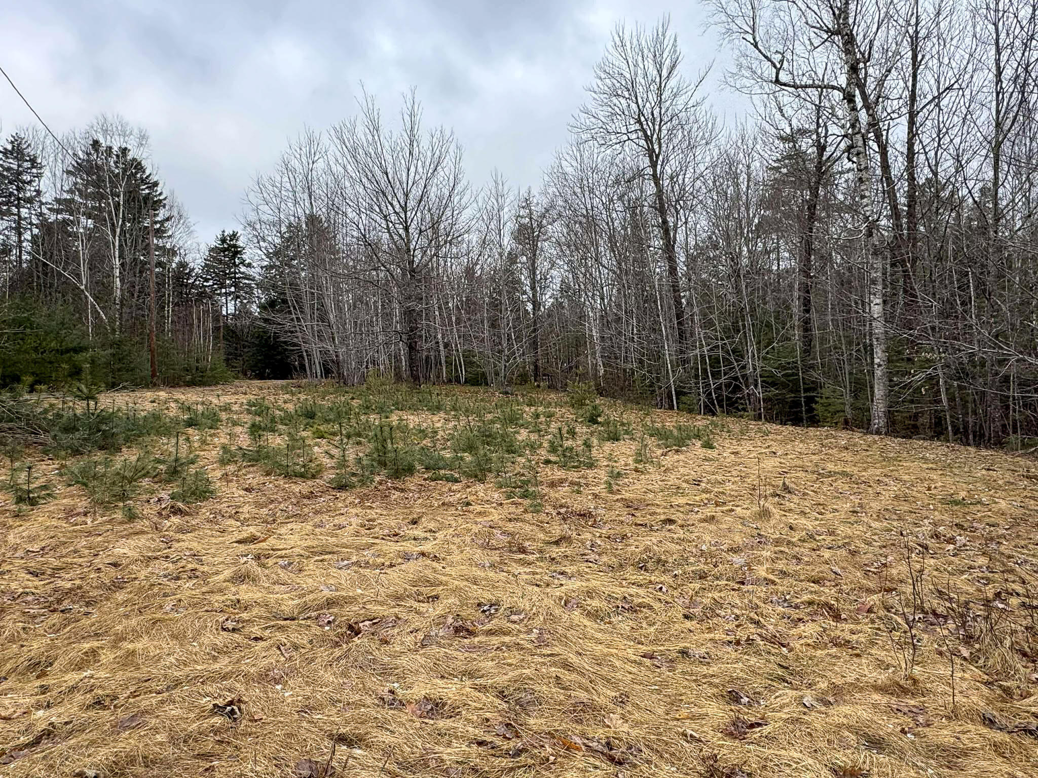 116 Sandy Beach Lane Otis, ME 04605 - Photo 23 of 24 23