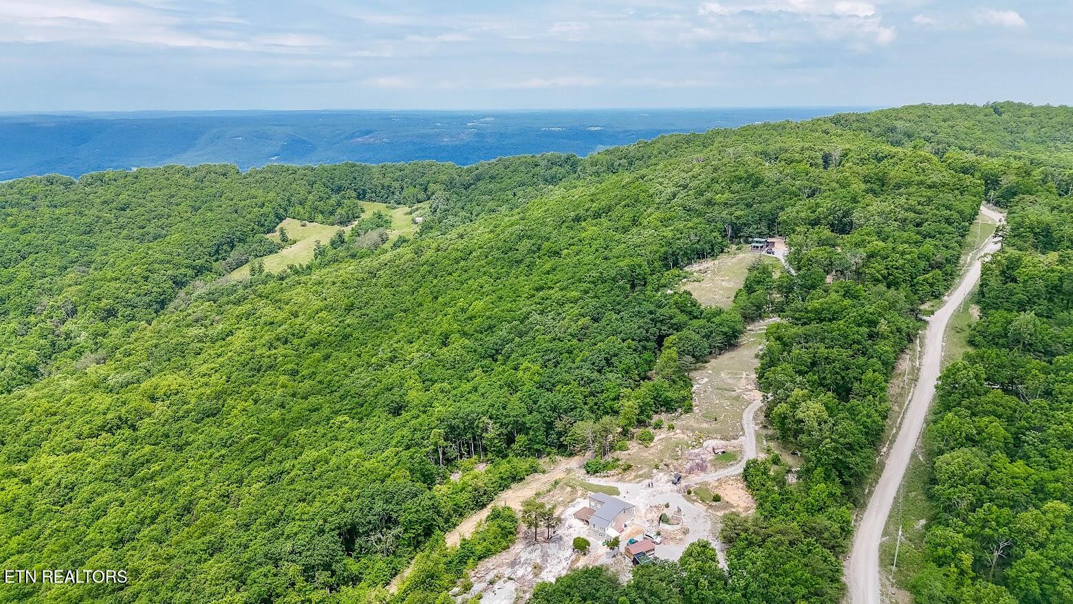 1407 Holloway Ridge Road Spring City, TN 37381 - Photo 16 of 60 140716