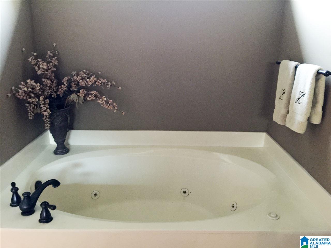 35 Allison Drive Oneonta, AL 35121 - Photo 8 of 12
