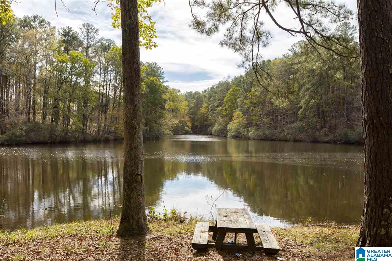 135 Brantley Lake Road Alabaster, AL 35114 - Photo 27 of 37