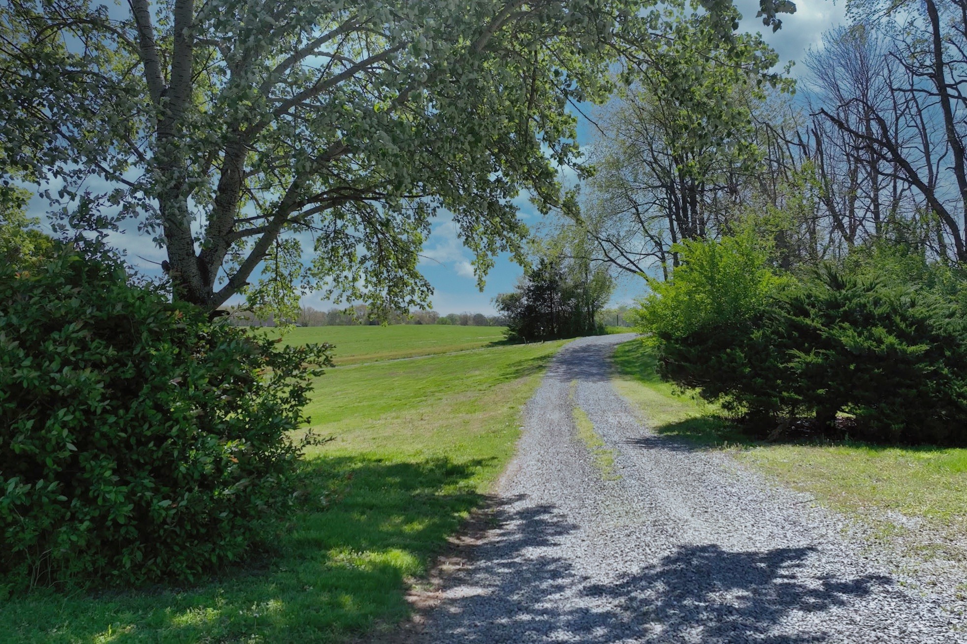 3083 Mooneyhan Road Springfield, TN 37172 - Photo 18 of 39