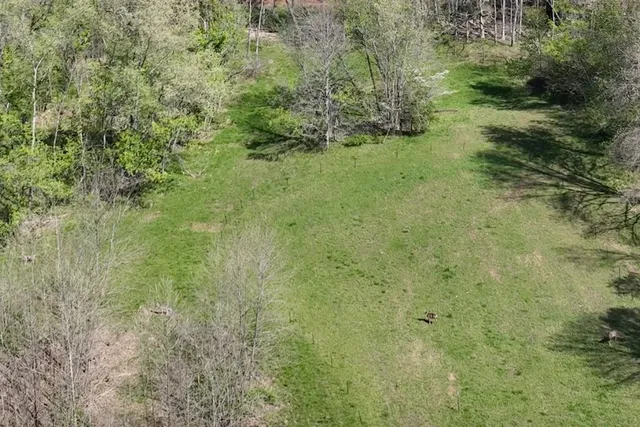 $699,900 | 3083 Mooneyhan Road, Springfield, TN 37172