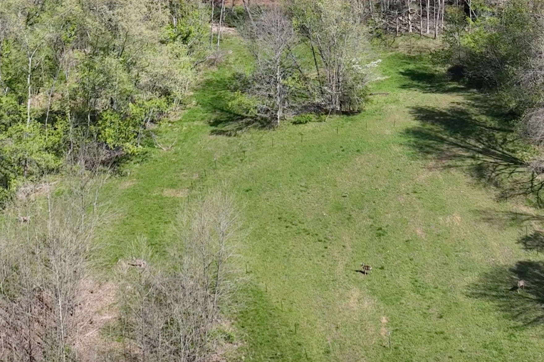 3083 Mooneyhan Road Springfield, TN 37172 - Photo 26 of 39