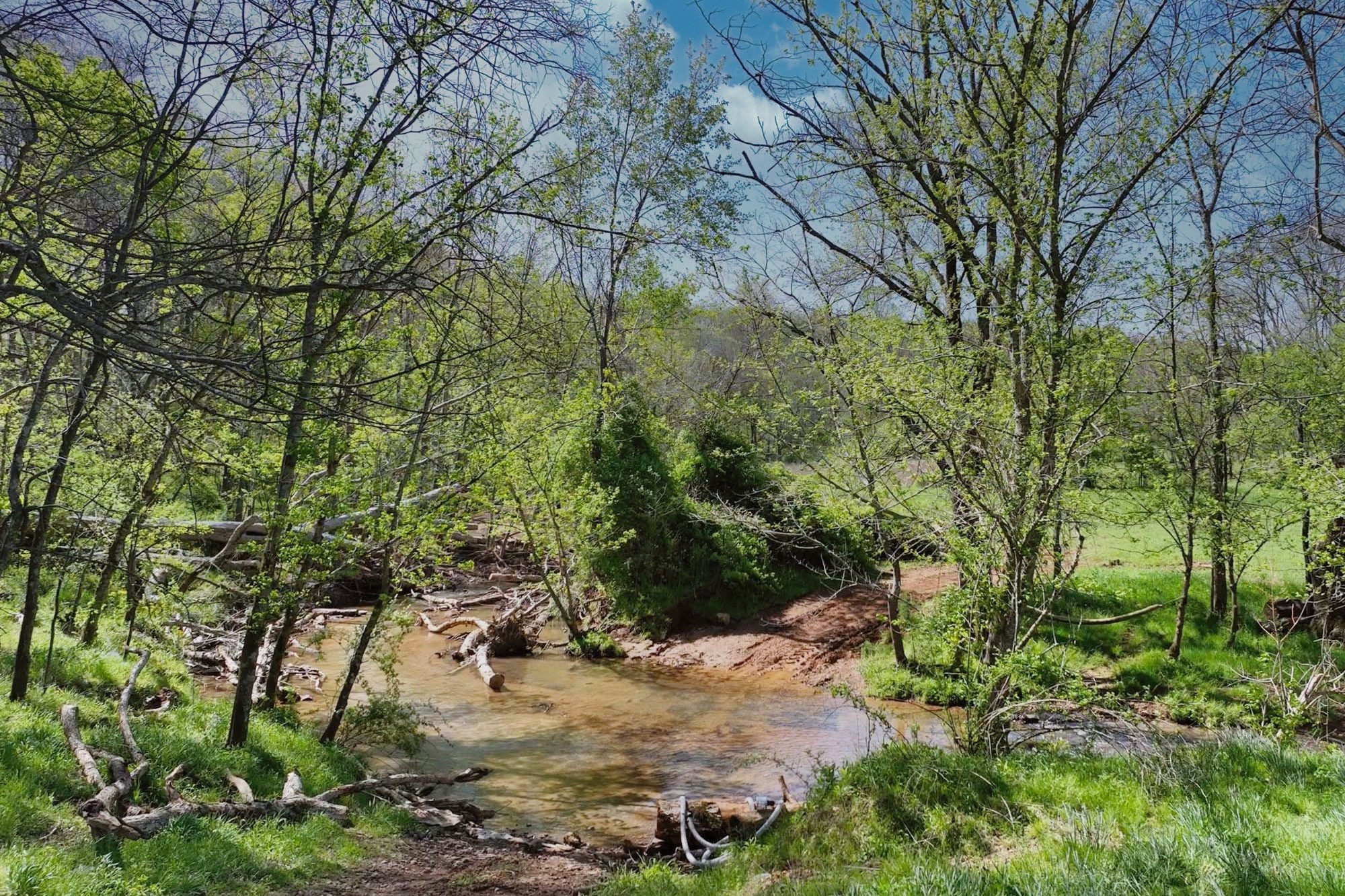 3083 Mooneyhan Road Springfield, TN 37172 - Photo 30 of 39