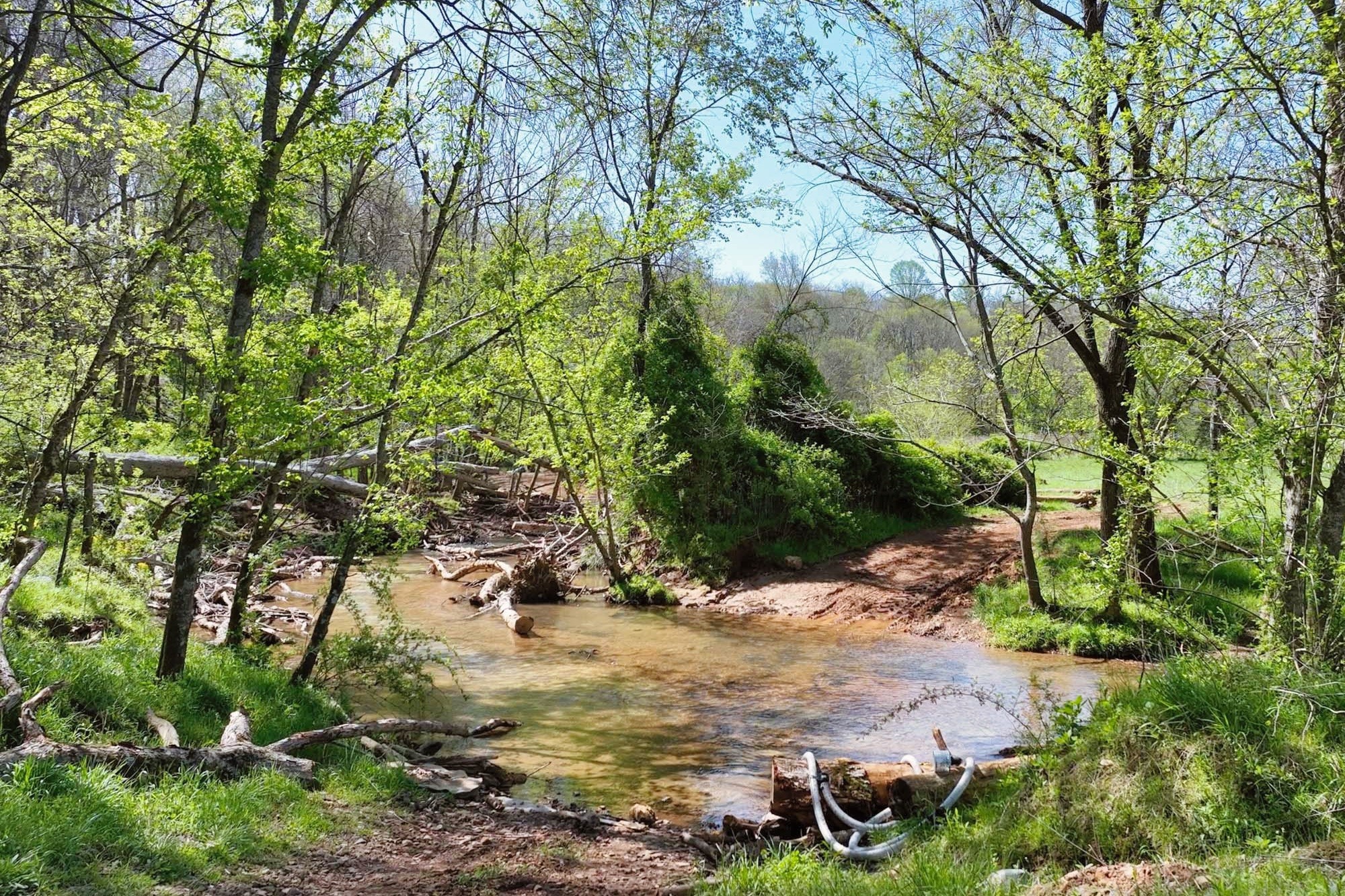 3083 Mooneyhan Road Springfield, TN 37172 - Photo 31 of 39