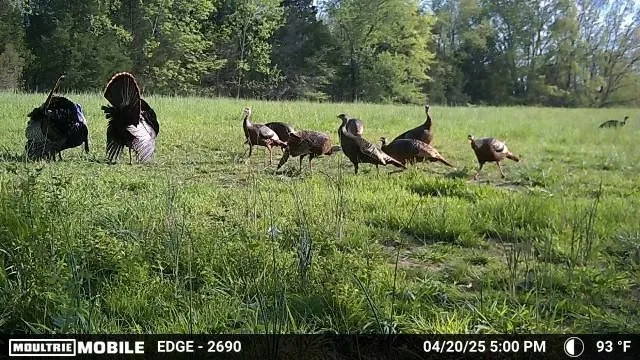 $699,900 | 3083 Mooneyhan Road, Springfield, TN 37172