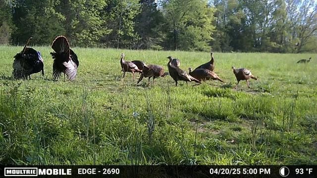 3083 Mooneyhan Road Springfield, TN 37172 - Photo 34 of 39