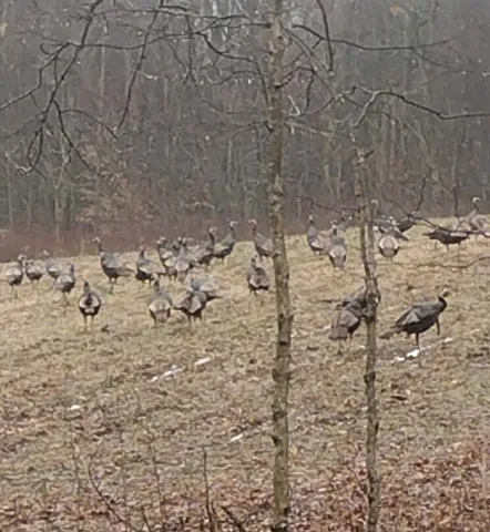 $699,900 | 3083 Mooneyhan Road, Springfield, TN 37172