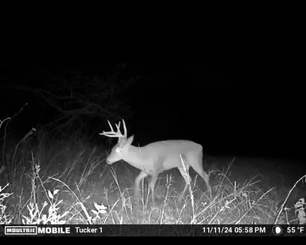 $699,900 | 3083 Mooneyhan Road, Springfield, TN 37172