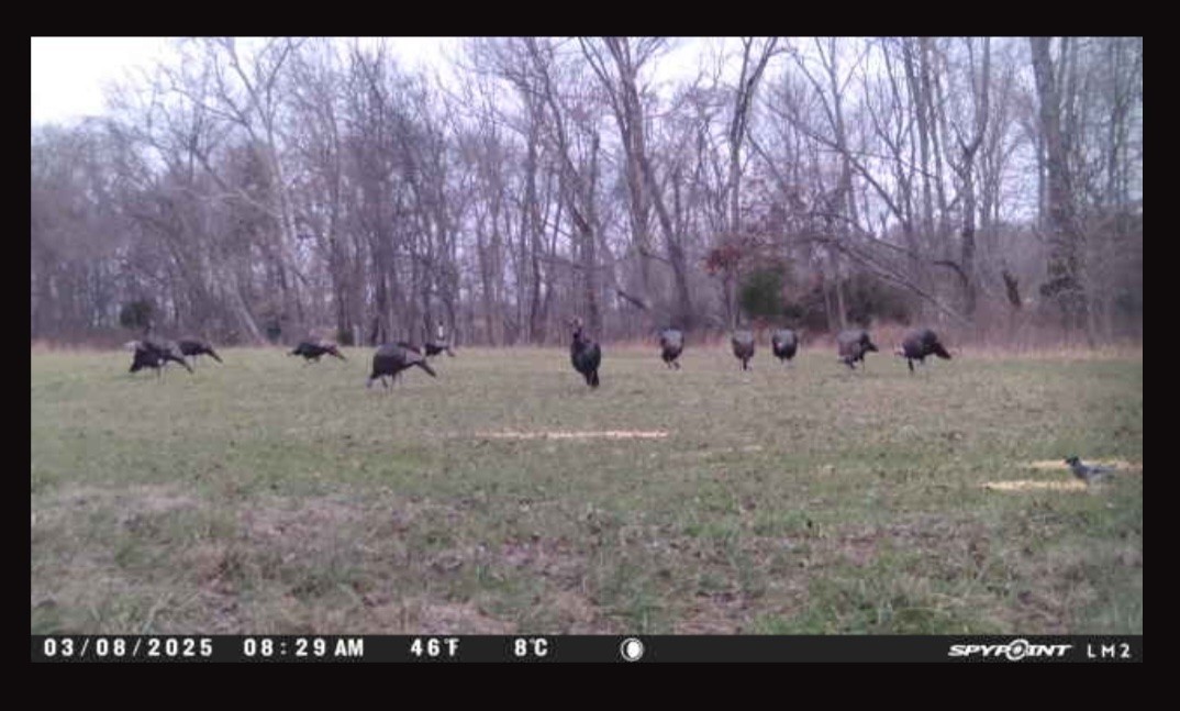 3083 Mooneyhan Road Springfield, TN 37172 - Photo 38 of 39