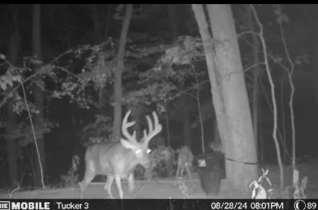 $699,900 | 3083 Mooneyhan Road, Springfield, TN 37172