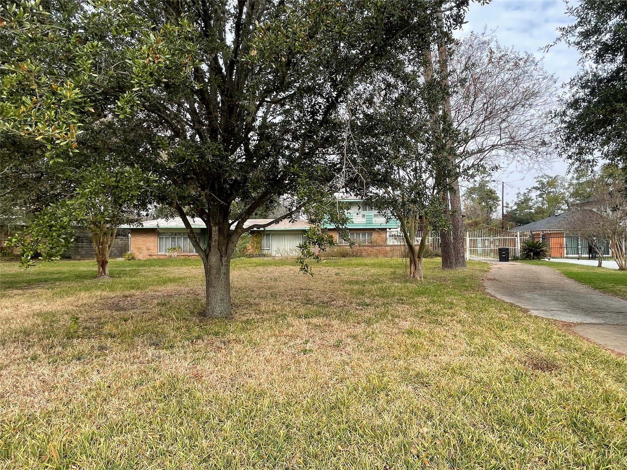 3405 North MacGregor Way Houston, TX 77004 - Photo 5 of 6 a view of yard with trees