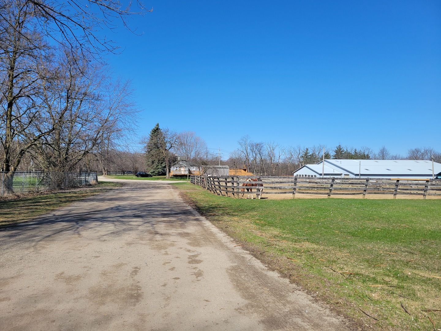 26011 North Rand Road Lake Zurich, IL 60047 - Photo 11 of 15 a view of a yard with an trees