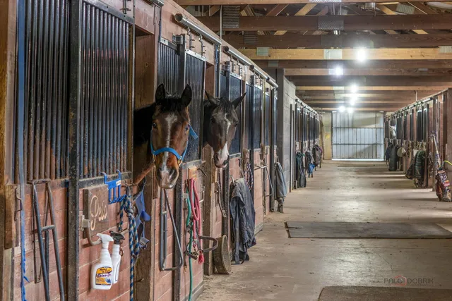 a picture of a glass window and a window
