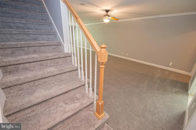 a view of a garden with a lake