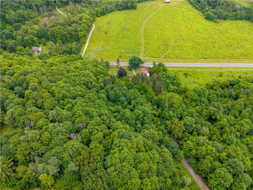 8071 Hunt Hollow Road Naples, NY 14512 - Photo 49 of 50