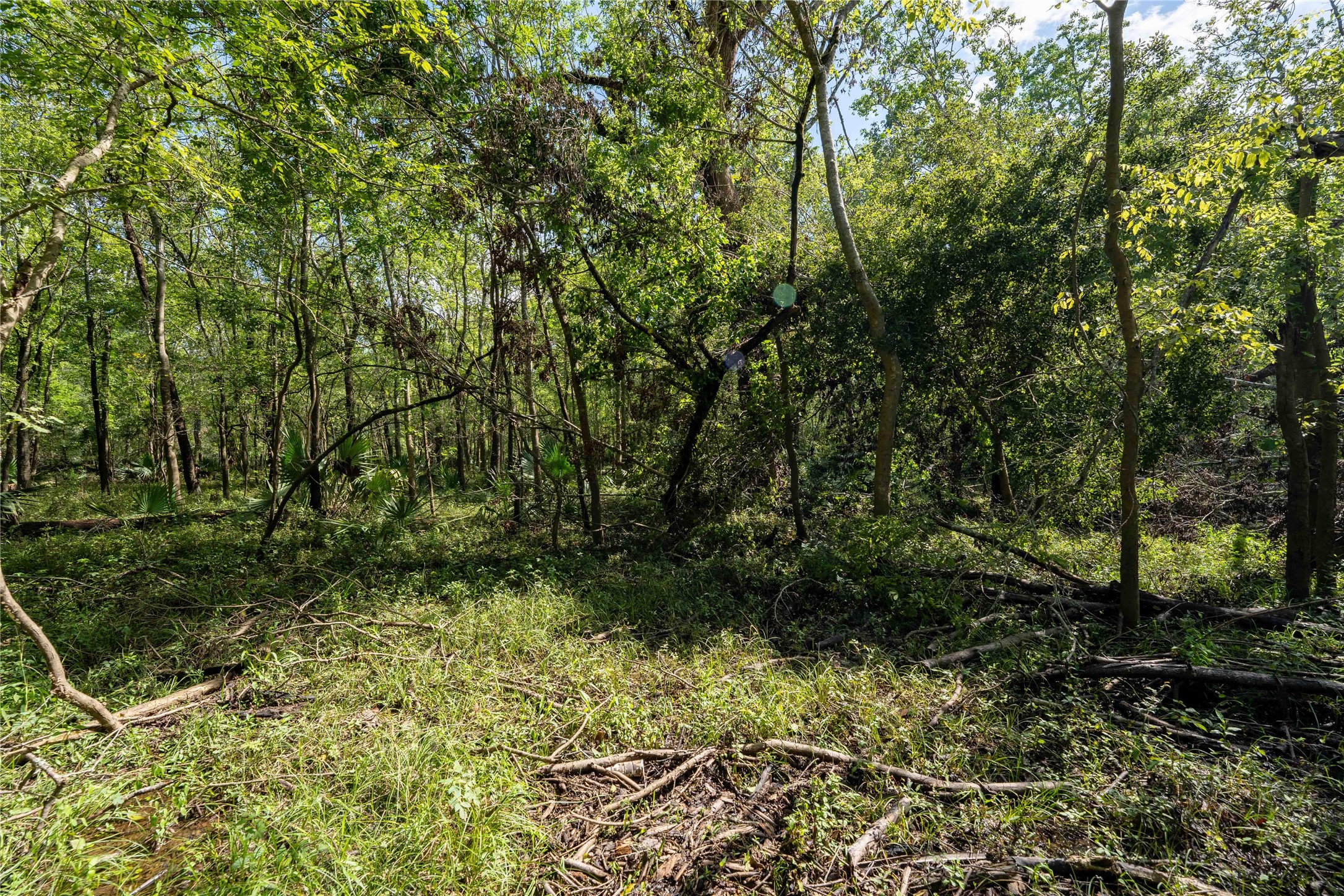 11623-11625 Cool Shadows Lane Houston, TX 77044 - Photo 4 of 7
