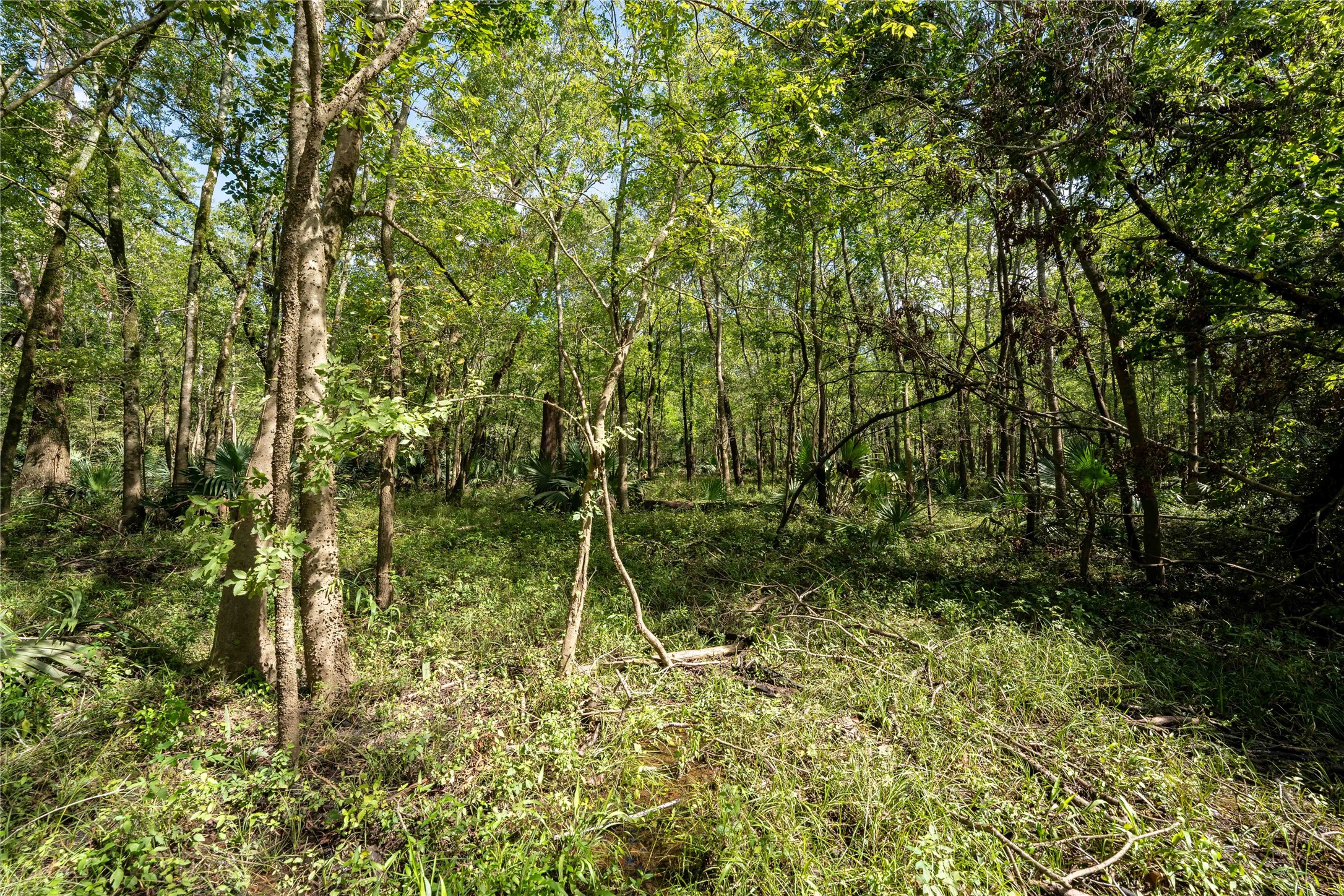 11623-11625 Cool Shadows Lane Houston, TX 77044 - Photo 5 of 7